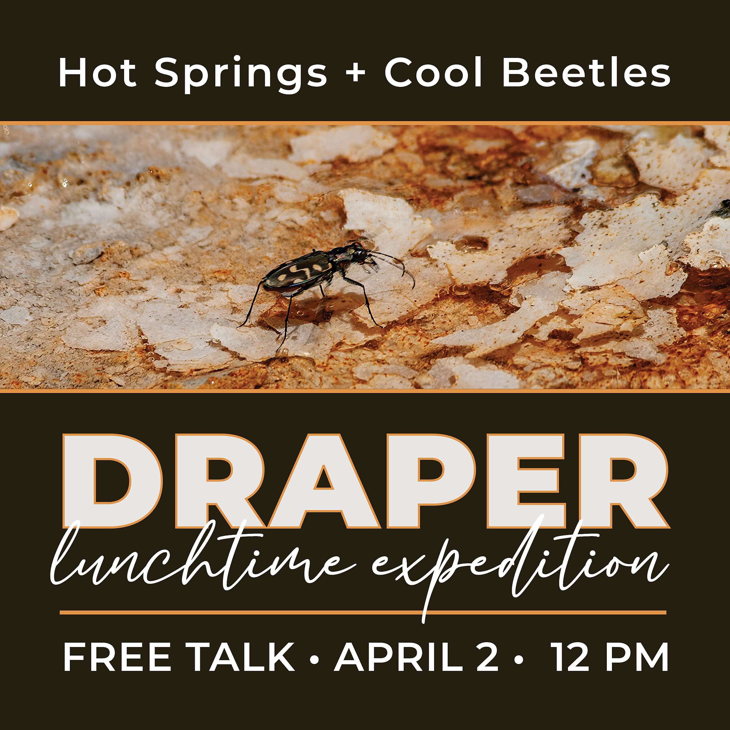 Lunchtime Expedition