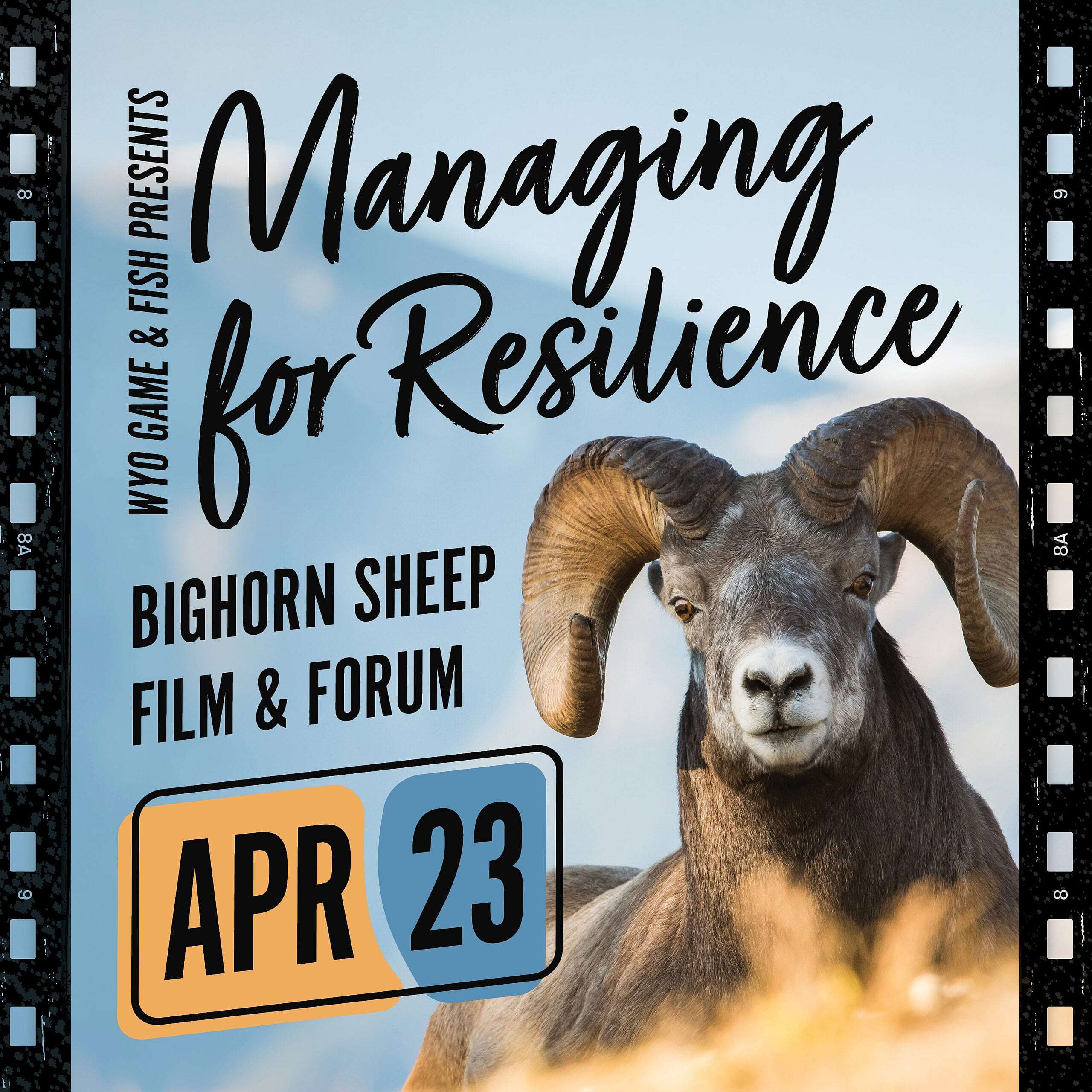 Managing for Resilience