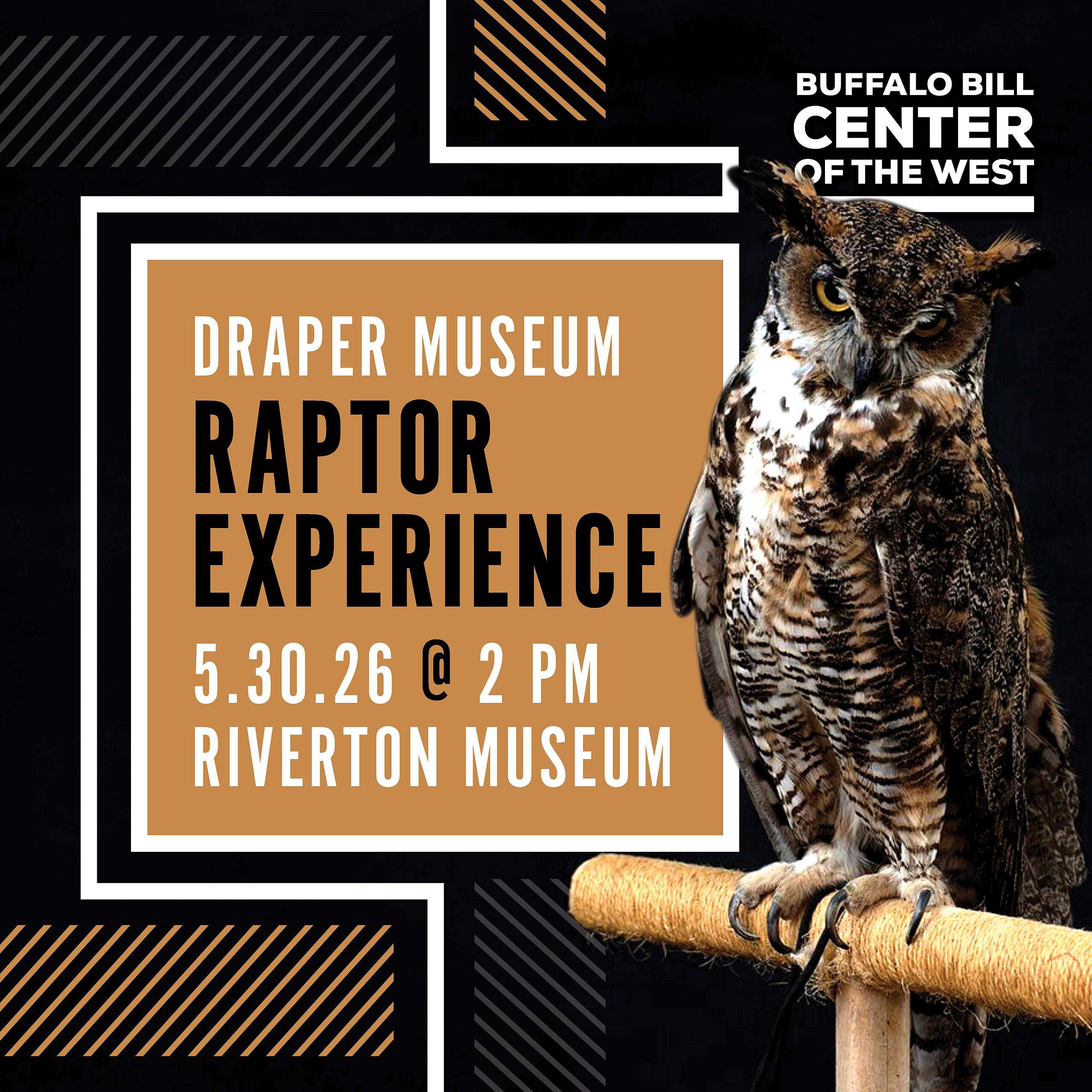 Raptor Experience in Riverton