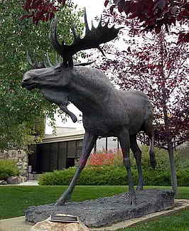 "September" by Michael Coleman. Outdoor sculpture at the Center of the West. 7.01