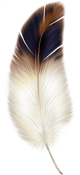 Feather guards stop bird collisions