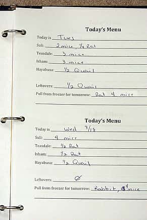 Melissa's menus tell us what to feed today, and what to thaw for tomorrow.