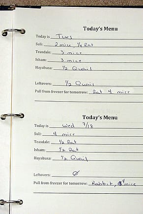 Melissa's menus tell us what to feed today, and what to thaw for tomorrow.