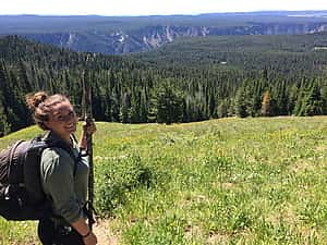 Hiker with a backpack and walking stick trekking up Mt. Washburn, surrounded by lush greenery and wildflowers, overlooking the Grand Canyon of Yellowstone.