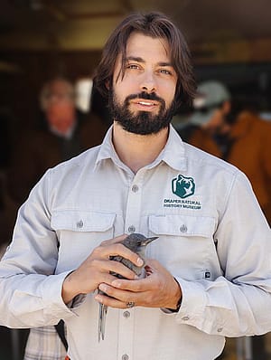 Corey Anco in the field, holding a pinyon jay.
