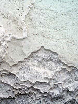 Winter in Yellowstone: white bacterial mat
