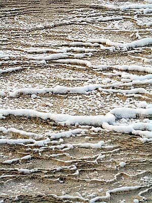 Winter in Yellowstone: snow in Mammoth terraces