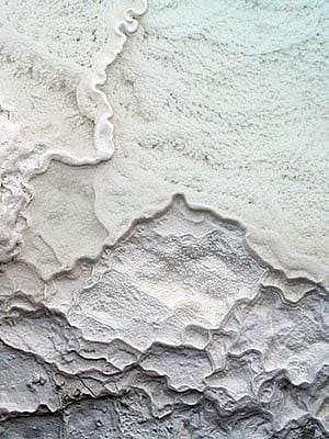 Winter in Yellowstone: white bacterial mat