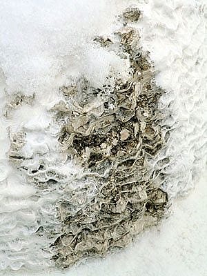 Winter in Yellowstone: snow and ridges on bacterial mat