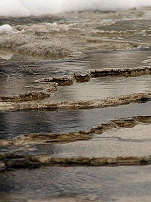 Winter in Yellowstone: water and ridges in Mammoth terraces