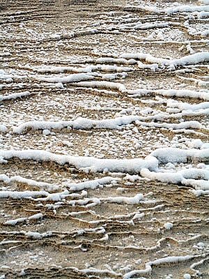 Winter in Yellowstone: snow in Mammoth terraces
