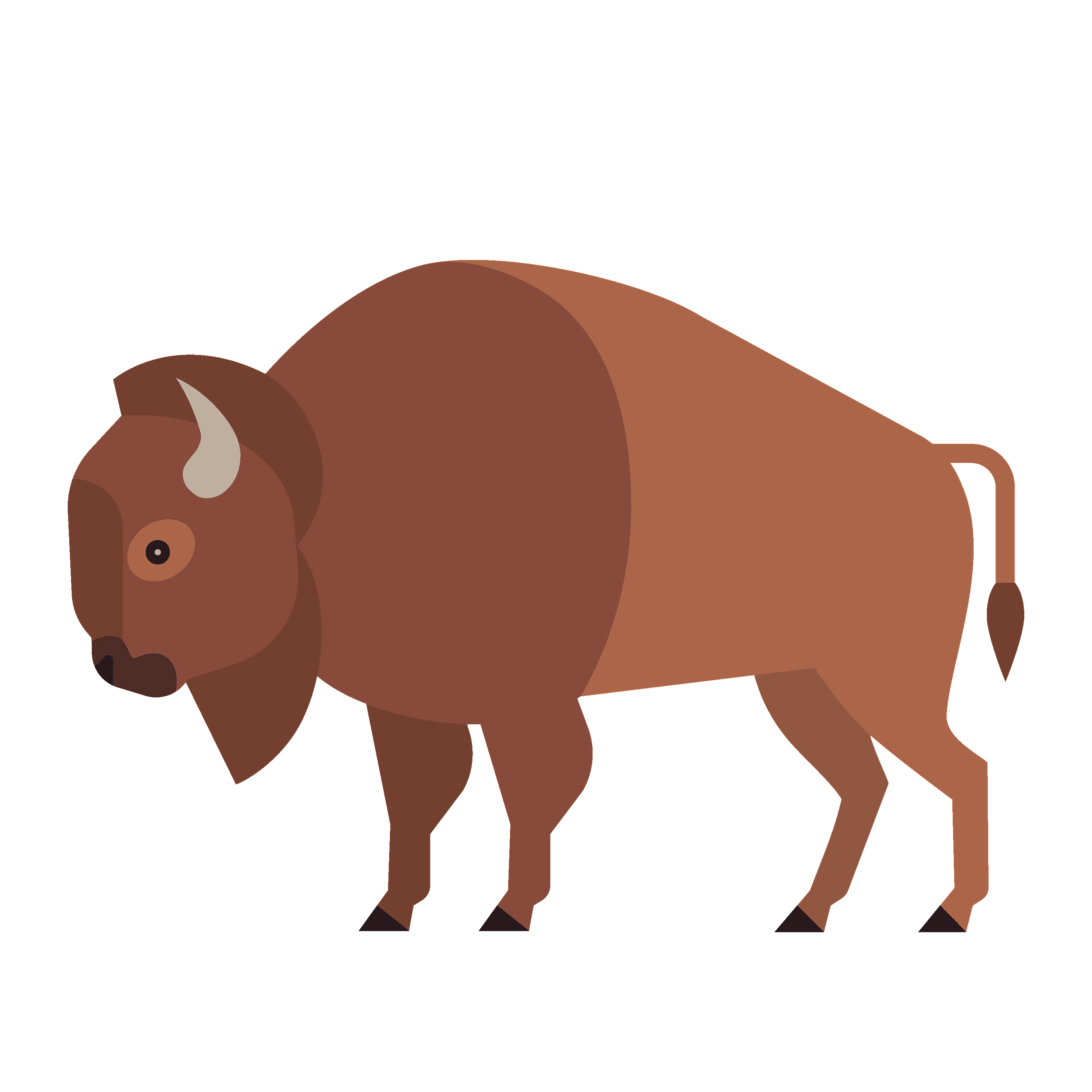 360 Adventure Bison