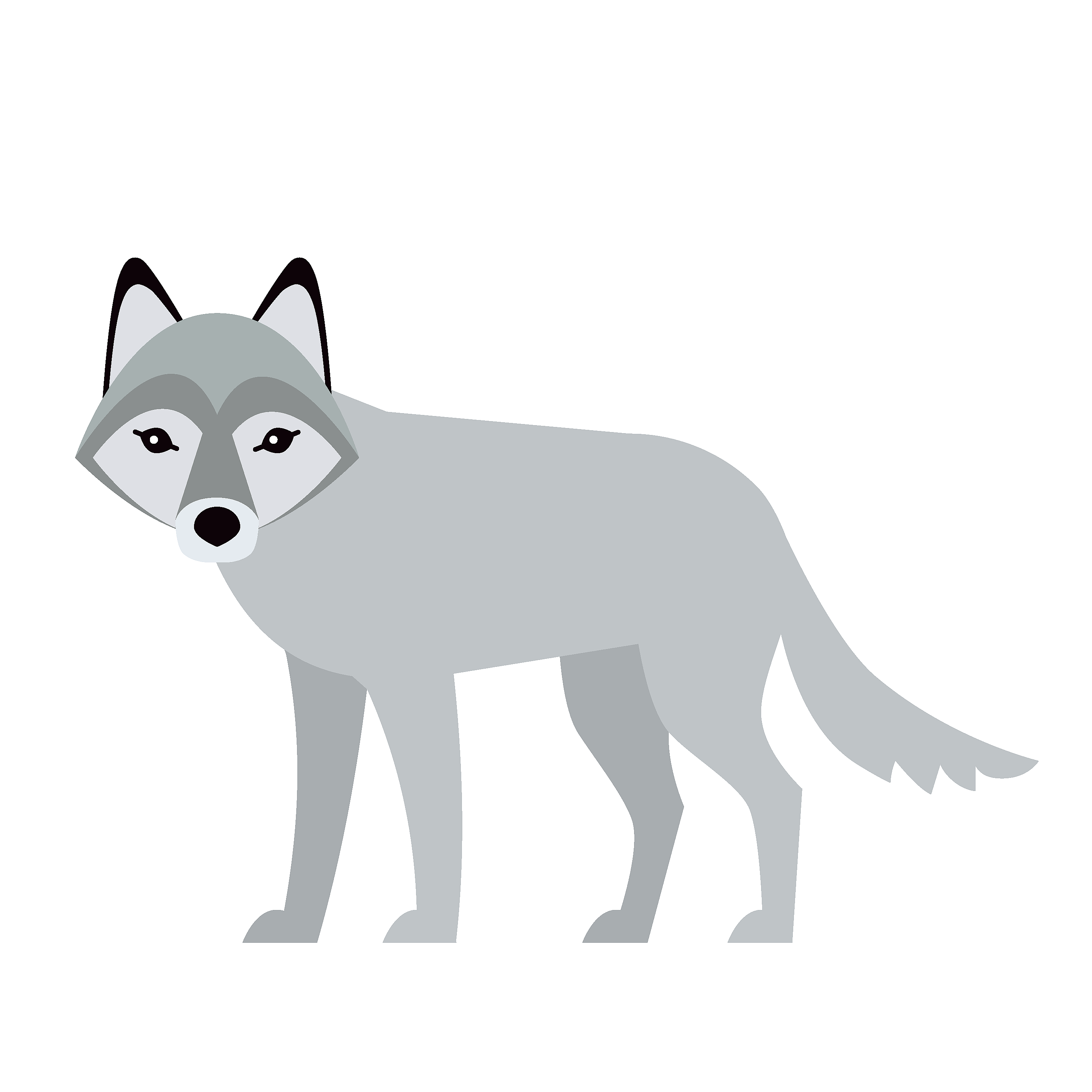 360 Adventure Wolf