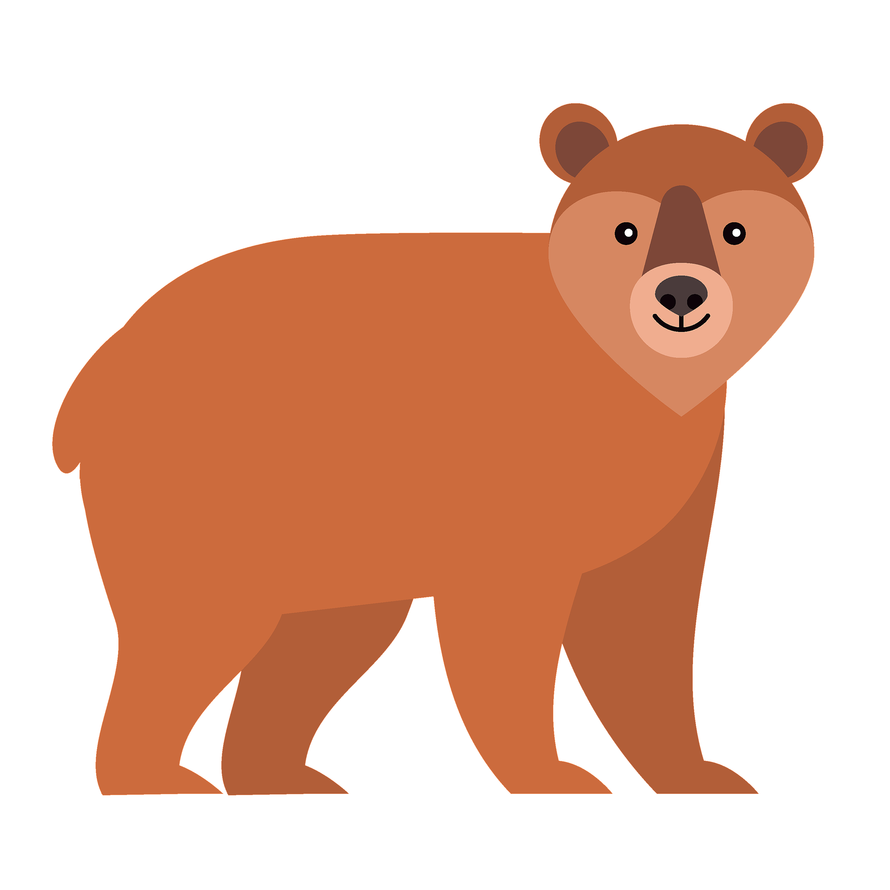 360 Adventure Bear