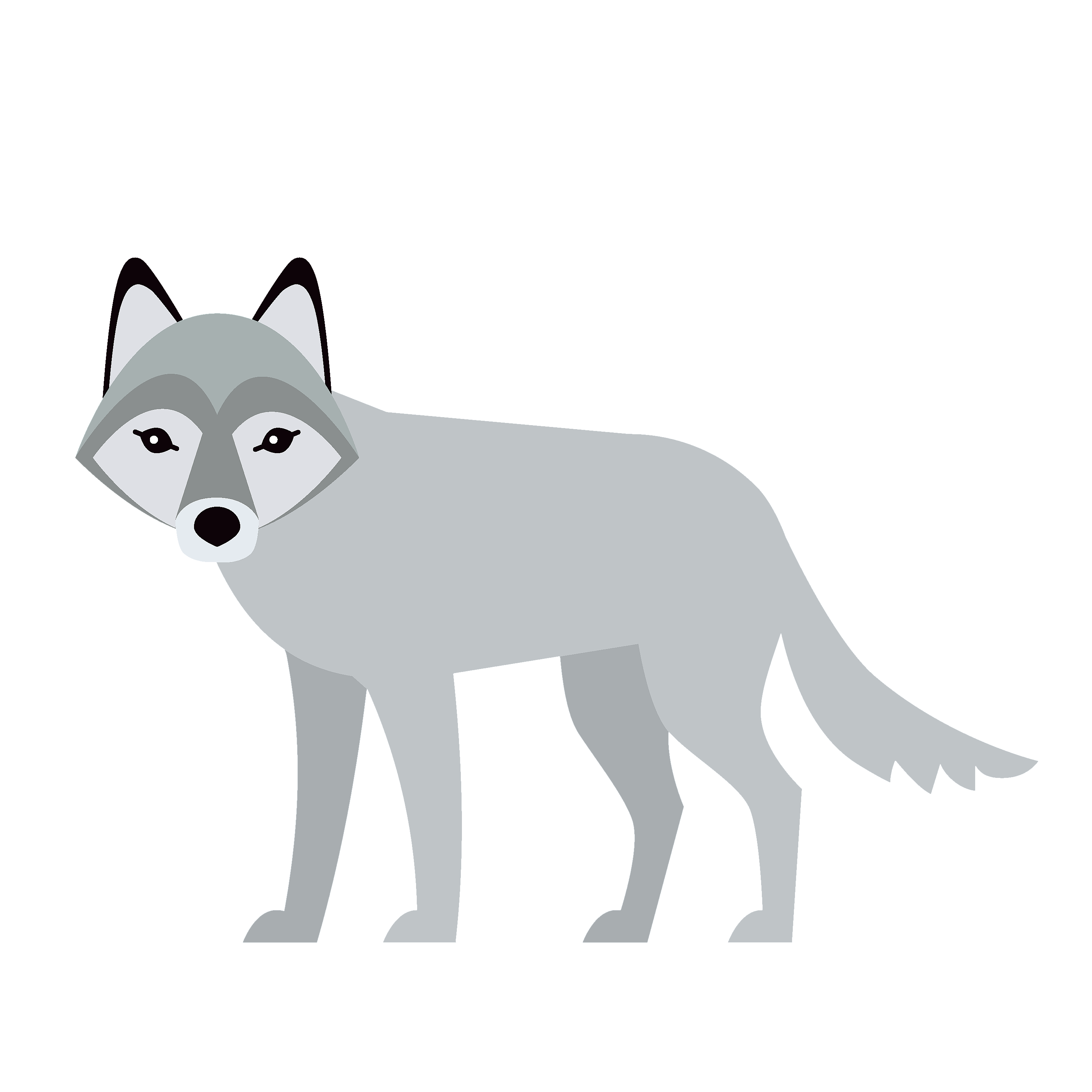 360 Adventure Wolf