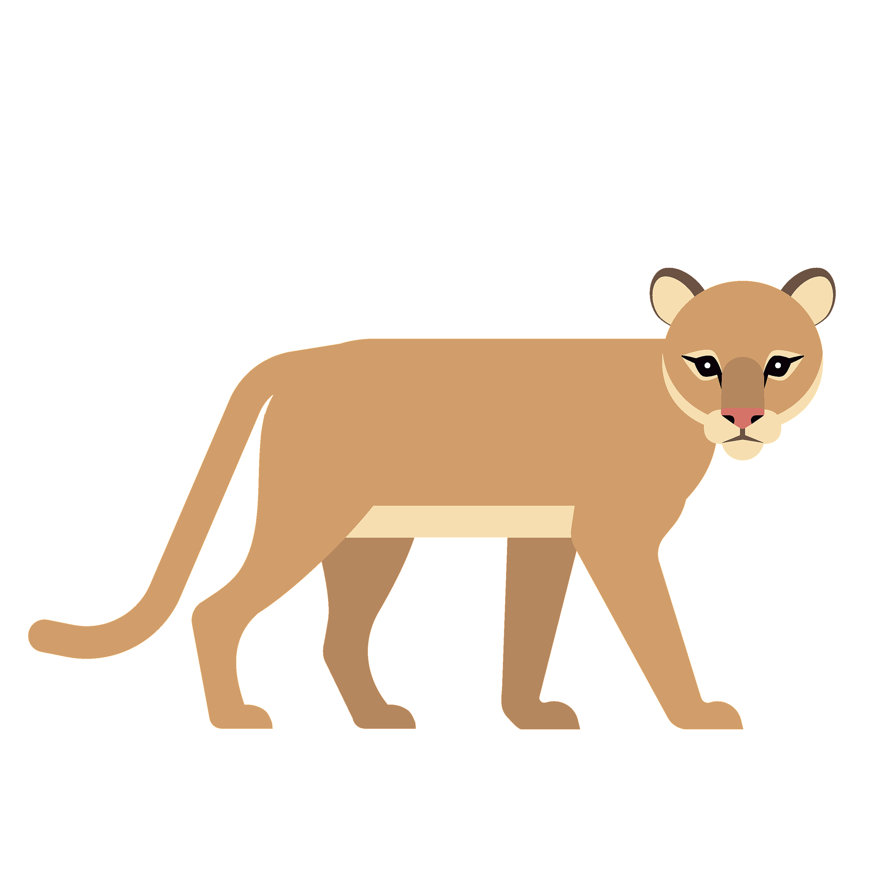 360 Adventure Mountain Lion
