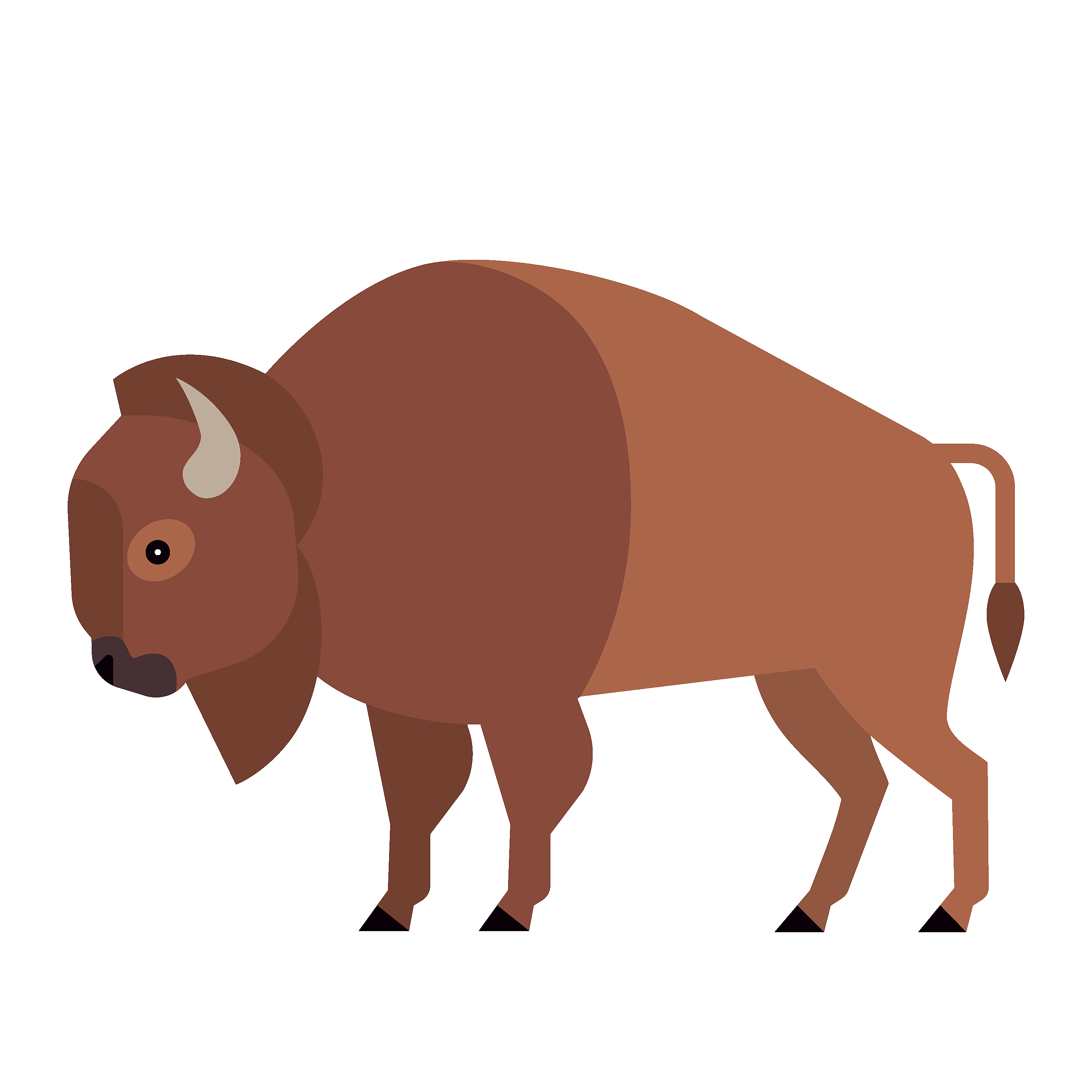 360 Adventure Bison