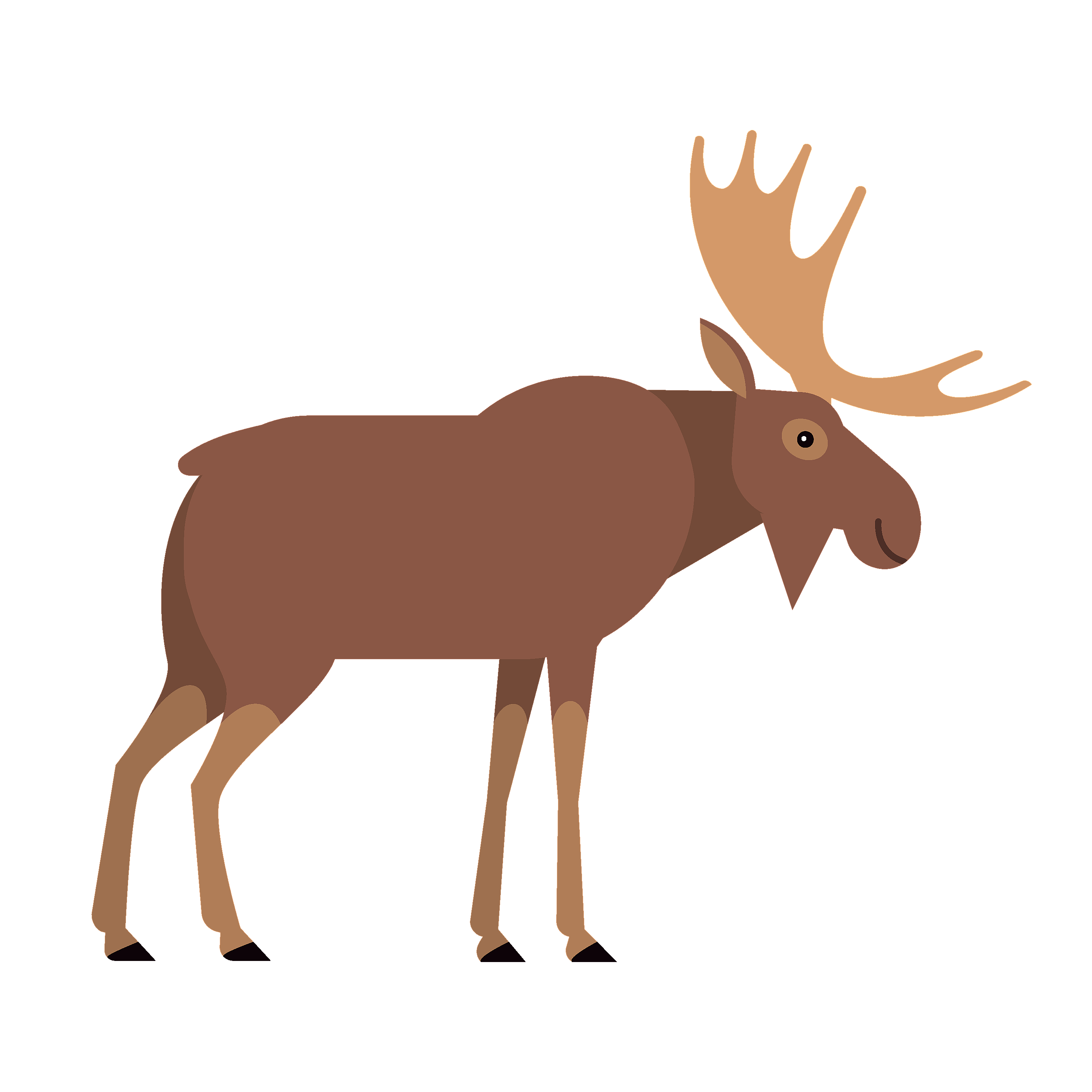 360 Adventure Moose