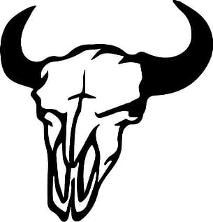 CowSkull