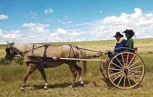2014 Custer Reenactment