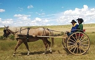 2014 Custer Reenactment