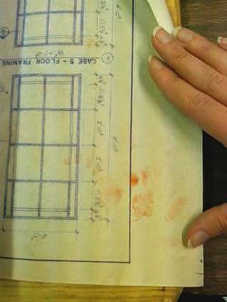 pawprints on blueprint