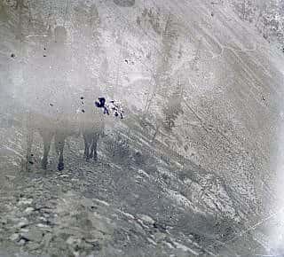 Trail across a steep mountain