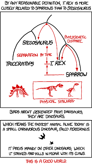 birds_and_dinosaurs