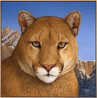 Tom Palmore (b.1945). Where Elegance Meets Fear, 1996. Acrylic on canvas, 46 x 46 inches. Gift of Edward R. Bazinet Foundation. 22.96