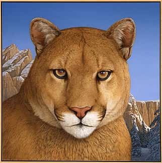 Tom Palmore (b.1945). Where Elegance Meets Fear, 1996. Acrylic on canvas, 46 x 46 inches. Gift of Edward R. Bazinet Foundation. 22.96
