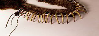 Grizzly bear claw necklace. Paul Dyck Plains Indian Buffalo Culture Collection. Acquired through the generosity of the Dyck family and additional gifts of the Nielson Family and the Estate of Margaret S. Coe. NA.203.1413