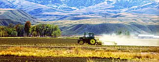 Tractor in the fields in springtime. (detail)