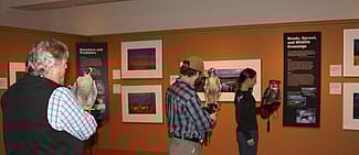 Draper Museum Raptor Experience volunteers with Hayabusa, Isham, and Teasdale at a public program.