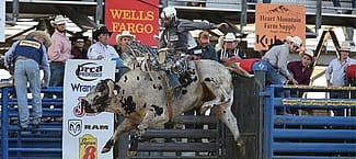 Cody Night Rodeo Action