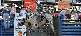 Cody Night Rodeo Action