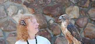 Volunteer Anne with red-tailed hawk Isham.