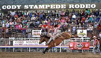 Sterling Crawley of Stephenville, Texas, competing in saddle bronc during the Cody Stampede Rodeo, July 1, 2016. Raymond Hillegas photo courtesy the Cody Enterprise.