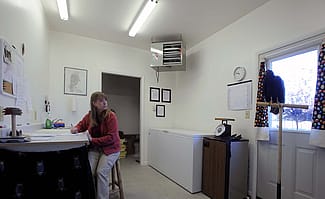 Suli the turkey vulture oversees the activities of the mews office.