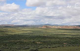 Sagebrush steppe landscape