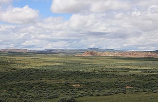 Sagebrush steppe landscape