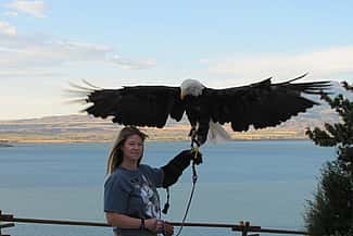 Melissa & bald eagle in front of Buffalo Bill Reservoir.