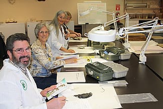 volunteers