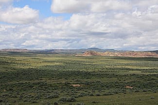 The still vast, virtually intact sagebrush-steppe ecosystem of Wyoming's Bighorn Basin remains a stronghold for the golden eagle and the Spirit of the American West. Photo by C.R. Preston.