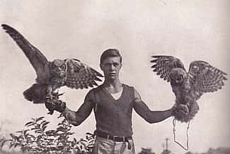 Two great horned owls, eager to be on the wing, are perched on Frank Craighead's gloved fists, page 124. (detail)