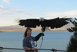 Melissa & bald eagle in front of Buffalo Bill Reservoir.