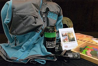 You could win these fabulous prizes in our Supervolcano Save the Museum Virtual Gallery Creation Contest.