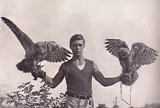 Two great horned owls, eager to be on the wing, are perched on Frank Craighead's gloved fists, page 124. (detail)