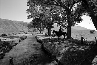 Rene Duykaerts, near Laws, Owens Valley, California, 1995. Silver gelatin print by William Shepley. P.602.014 (detail)