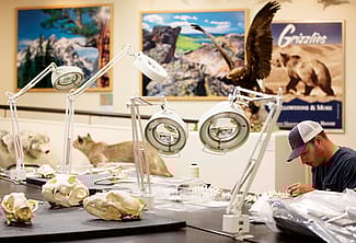 Draper Natural History Museum laboratory