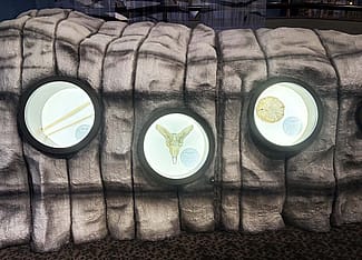 An ice patch exhibit at the Draper Natural History museum shares human-made objects, animal remains, and other items from the past.